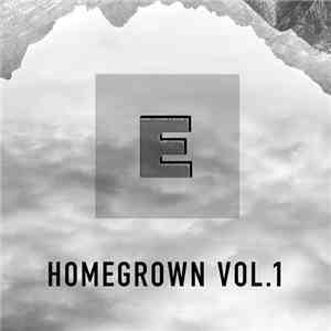 Various - Homegrown Vol. 1 album flac