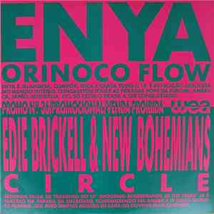 Various - Promo - Disco Internacional No. 36 album flac