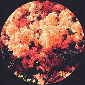 Various - So Warm album flac