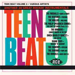 Various - Teen Beat Volume 3 album flac