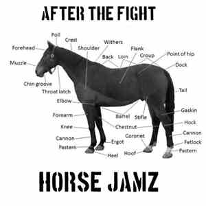 After The Fight - Horse Jamz album flac