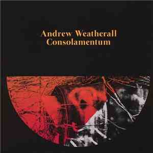 Andrew Weatherall - Consolamentum album flac