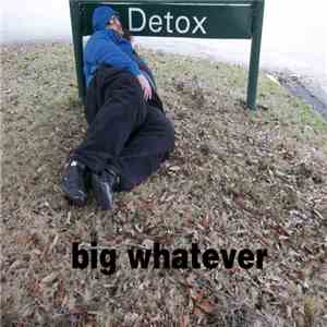 Big Whatever - Detox album flac