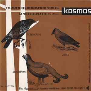C. Fentzloff, Dr. G. Thielcke - Stimmen Einheimischer Vögel album flac