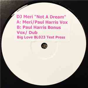 DJ Meri - Not A Dream album flac