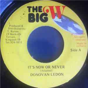Donovan Ledon / Stevie & Clevie - It's Now Or Never album flac