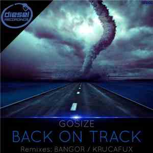 Gosize - Back On Track album flac