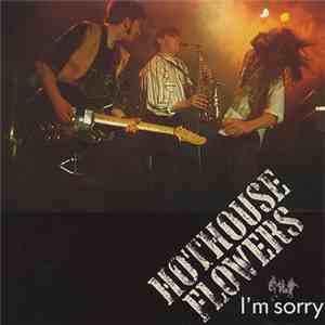 Hothouse Flowers - I'm Sorry album flac