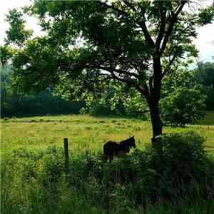 Milieu - Quebrith & Yarrow album flac