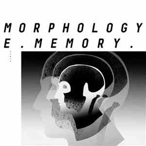 Morphology - Collective Memory album flac