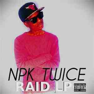 Npk Twice - Raid Lp album flac