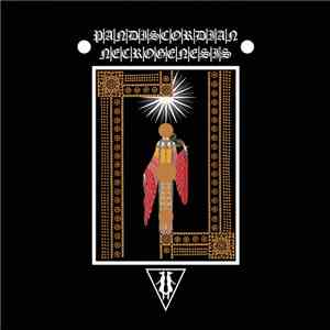 Pandiscordian Necrogenesis - Outer Supernal album flac
