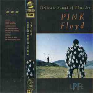 Pink Floyd - Delicate Sound Of Thunder album flac