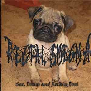Rectal Smegma / Namek - Sex, Drugs And Rock'n Drol / Excremental Lesbophonic Putremageddon album flac