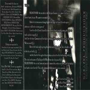 Selbstmord - Some Day The Whole World... album flac