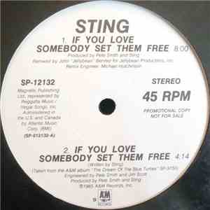 Sting - If You Love Somebody Set Them Free album flac