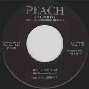 Ted And Johnny - Just Like You / Teenage Party album flac