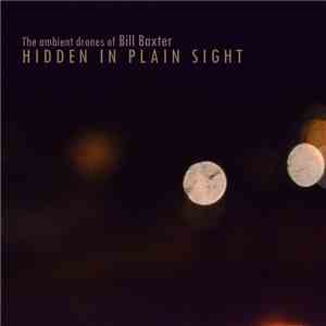 The Ambient Drones Of Bill Baxter - Hidden In Plain Sight album flac