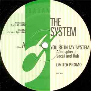 The System - You're In My System album flac