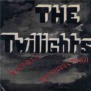 The Twilights - Shadows In The Sky album flac
