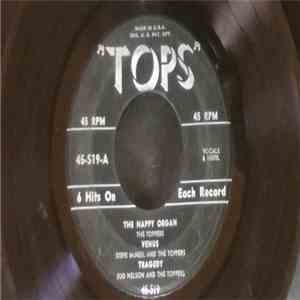 Various - 12 Top Tunes album flac