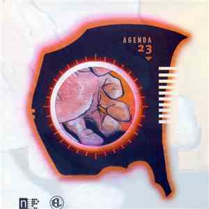 Various - Agenda 23 (An Eevo Lute Compilation) album flac