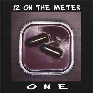 12 On The Meter - One album flac