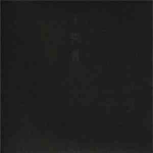 不失者 - 不失者 album flac