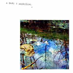 A Band - Amphibian album flac