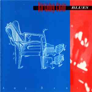 Amy Denio - Birthing Chair Blues album flac