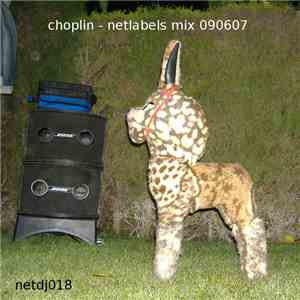 Choplin - Netlabels Mix 090607 album flac