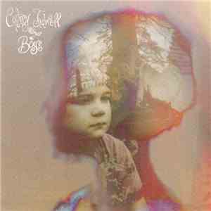 Cortney Tidwell - Boys album flac