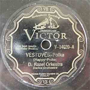 D. Kozel Orkestra - Vestuvēs / Mylimasis album flac
