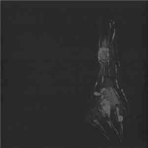 Daniel Lercher & Markus Rass - Nagara album flac