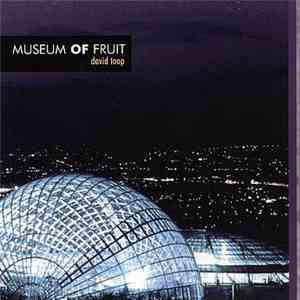 David Toop - Museum Of Fruit album flac