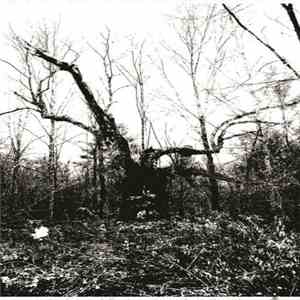 Deadmoths - Disinclined Beings album flac