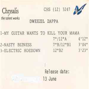 Dweezil Zappa - My Guitar Wants To Kill Your Mama album flac