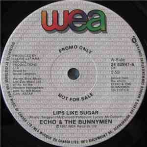 Echo & The Bunnymen - Lips Like Sugar album flac