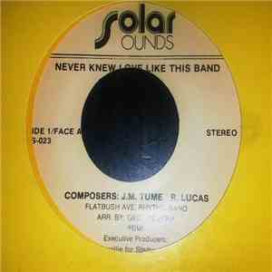Flatbush Ave. Rhythm Band - Never Knew Love Like This Band album flac