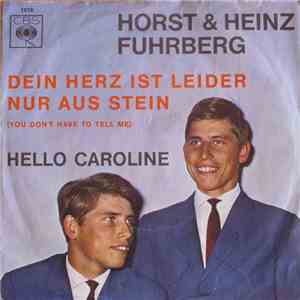 Horst & Heinz Fuhrberg - Dein Herz Ist Leider Nur Aus Stein album flac