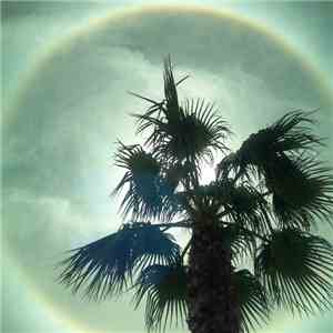 Jeffrey Wentworth Stevens - 11"••​=​[​[ album flac