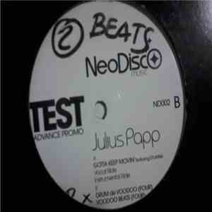 Julius Papp Featuring D'Layna - Gotta Keep Movin album flac