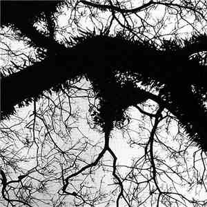 Magnetik North - Evolver album flac