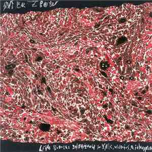 Merzbow - Live Bootleg 20/04/2004 In ŠMC, Vilnius, Lithuania album flac