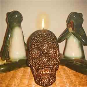 Phyllomedusa / TOAD BIRTH - Phyllomedusa & TOAD BIRTH album flac
