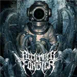 Remember Forever - Remember Forever album flac