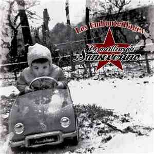 Sanseverino - Les Embouteillages - Le Meilleur De Sanseverino album flac