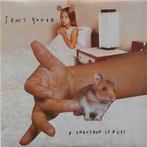 Sonic Youth - A Thousand Leaves album flac