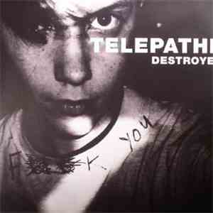 Telepathe - Destroyer album flac