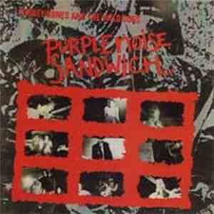 Turkey Bones & The Wild Dogs - Purple Noise Sandwich album flac